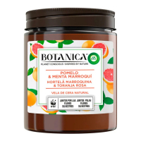 Air-wick Bougie parfumée 'Botanica' - Pomelo, Thé à la menthe marocain 205 g