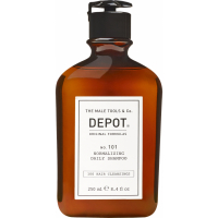 Depot 'No. 101 Normalizing' Shampoo - 250 ml