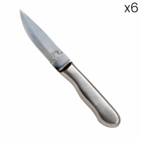 Evviva Asado 6 Knives Steel Handle