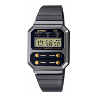 Casio 'A100WEGG-1A2E' Watch