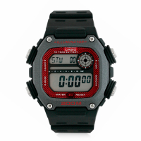 Casio Men's 'DW-291H-1BVCF' Watch