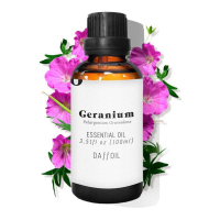 Daffoil 'Geranium' Essential Oil - 100 ml