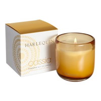 StoneGlow Bougie parfumée 'Cassia Harlequin' - 240 g