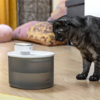 Innovagoods Fontaine Rechargeable Pour Animaux De Compagnie