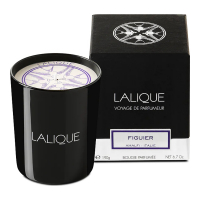 Lalique 'Figuier Amalfi' Candle - 190 g
