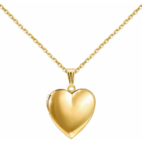 Liv Oliver Women's 'Heart Locket' Necklace