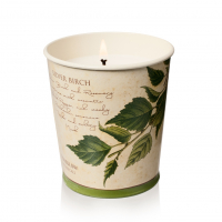 StoneGlow 'Silver Birch' Scented Candle - 255 g