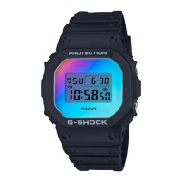 Casio Men's 'DW-5600SR-1E' Watch