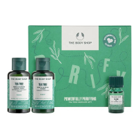 The Body Shop 'Powerfully Purifying Tea Tree' SkinCare Set - 3 Pieces