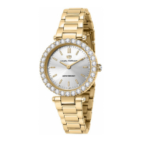 Chiara Ferragni Women's 'R1953103501' Watch