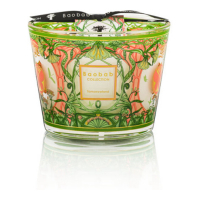 Baobab Collection 'Tomorrowland' Scented Candle - 1.3 Kg