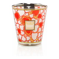 Baobab Collection 'Crazy Love' Scented Candle - 2.2 Kg