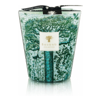 Baobab Collection 'Sacred Trees Kamalo' Scented Candle - 2.2 Kg