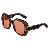 Christian Dior Women's 'Lady 95.22 R2I' Sunglasses