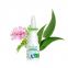 Spray nasal 'Décongestionnant Aux He Bio' - 15 ml