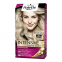 Teinture pour cheveux 'Palette Intensive' - 8.1 Light Ash Blonde