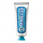 'Aquatic Mint' Toothpaste - 25 ml