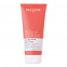 'Aloe Vera Spf 50+' Body Sunscreen - 200 ml