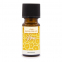 'Lemon' Fragrance Oil - 10 ml