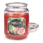 'Juicy Watermelon Slice' Scented Candle - 510 g