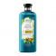 Shampoing 'Botanicals Bio Argan Oil' - 250 ml