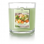 'Cucumber Melon' Scented Candle - 269 g