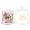'Peony' Scented Candle - 164 g