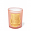 'Tuileries' Scented Candle - 800 g