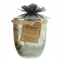 'Hibiscus French Vanilla' Candle - 500 g