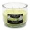 'Key Lime Gelato' Scented Candle - 283 g