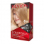 'Colorsilk' Haarfarbe - 70 Ash Medium Blonde