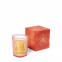 'Tuileries' Scented Candle - 800 g