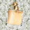 Eau de parfum 'Woman by Ralph Lauren' - 100 ml