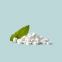 'Natural Mint' Feste Zahnpasta - 120 Tabletten