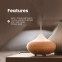 'Wooden Clear top' Aroma Diffuser