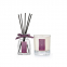 Candle & Diffuser Set - Lily Blossom 160 g, 100 ml