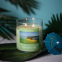 'Sun Soaked Lime' Scented Candle - 425 g