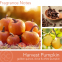 Bougie parfumée 'Harvest Pumpkin' - 311 g