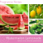 Bougie parfumée 'Watermelon Lemonade' - 311 g