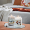 'Warm Cashmere' Scented Candle - 623 g